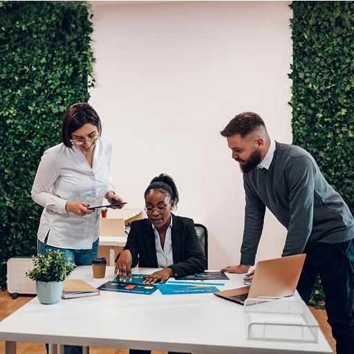 Work visa consultation