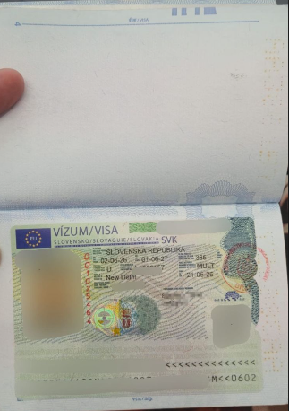 Approved visa copy