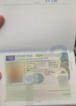 Approved visa copy