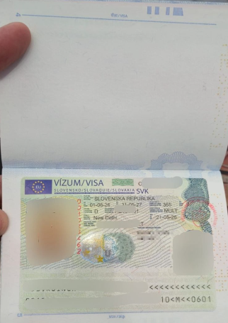 Approved visa copy