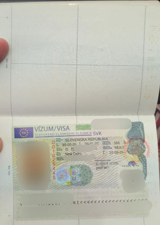 Approved visa copy