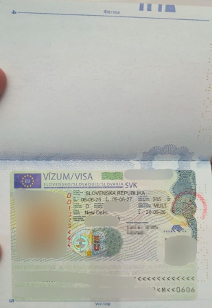 Approved visa copy