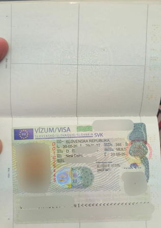 Approved visa copy