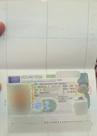 Approved visa copy