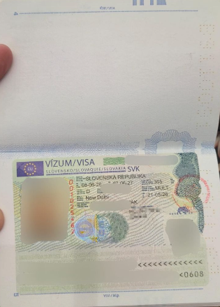Approved visa copy