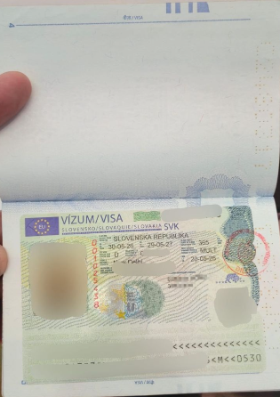 Approved visa copy