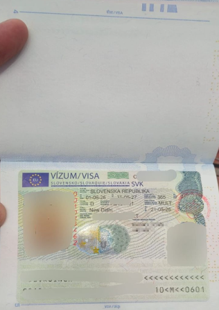 Approved visa copy