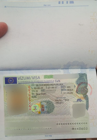 Approved visa copy