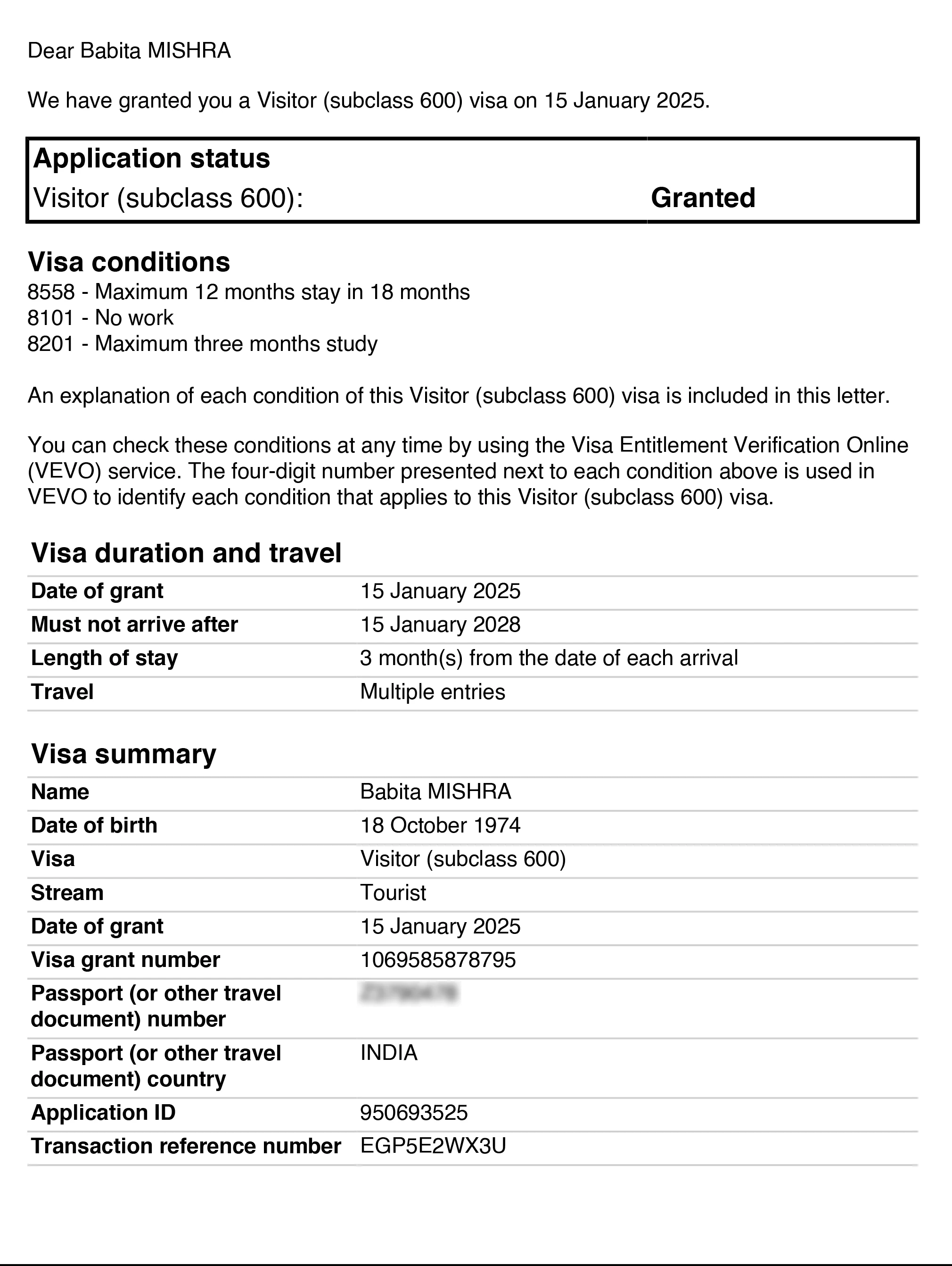 Approved visa copy