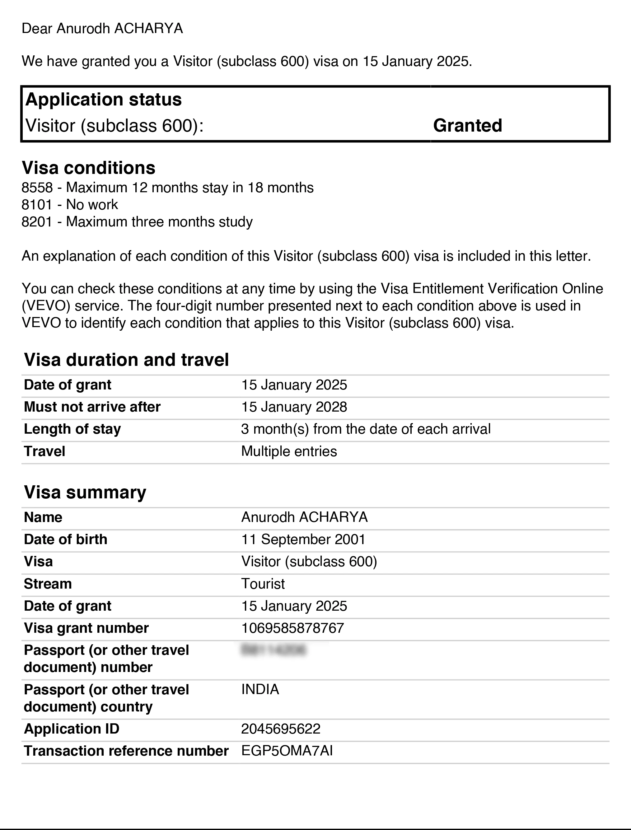 Approved visa copy