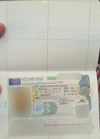 Approved visa copy