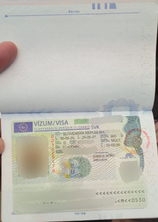 Approved visa copy