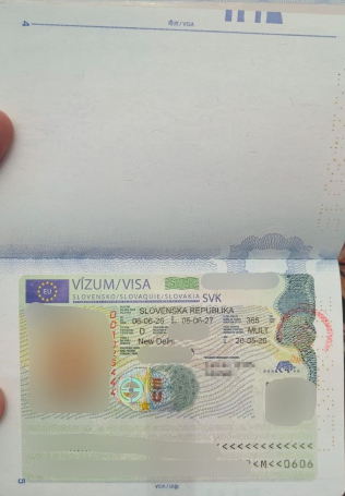 Approved visa copy