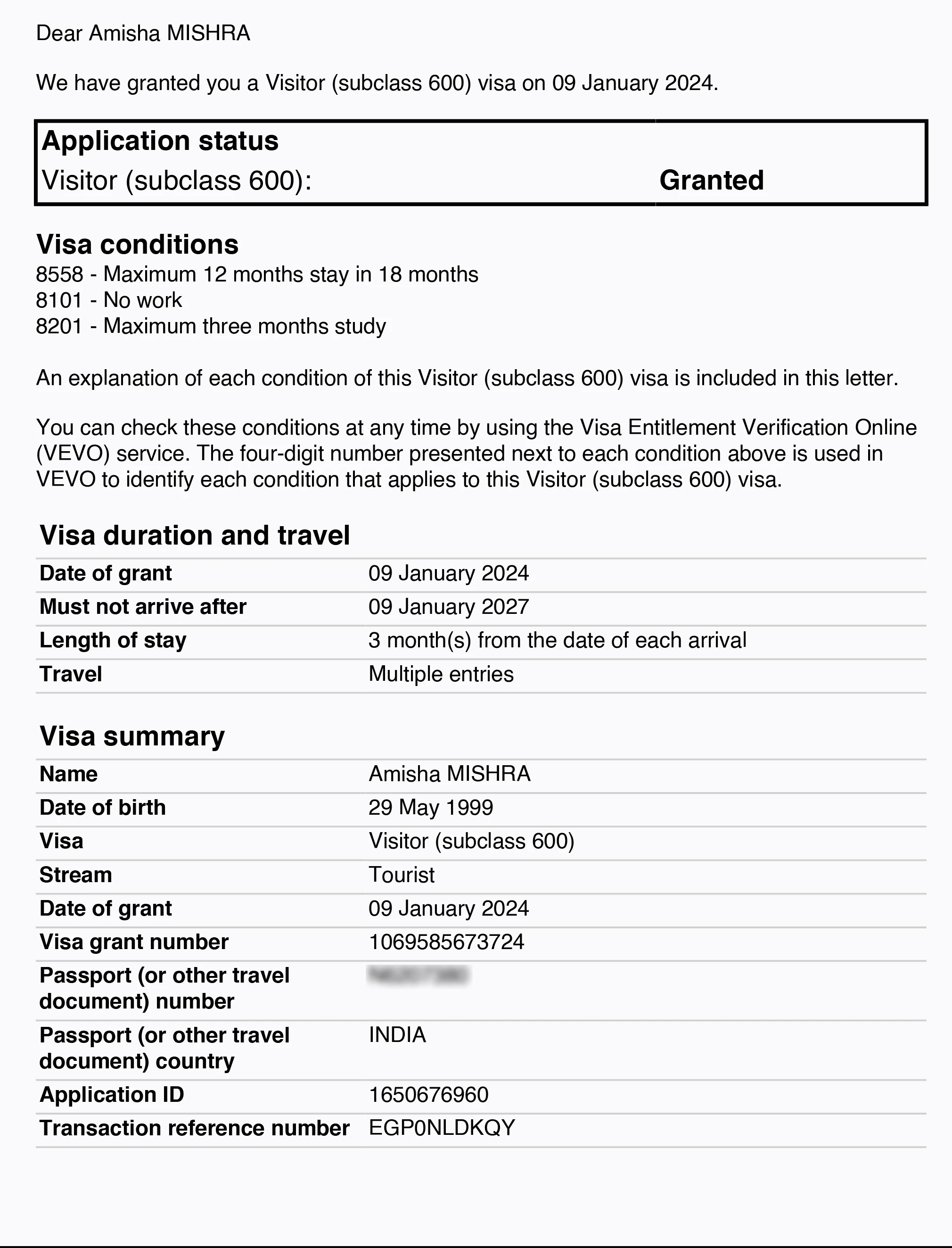 Approved visa copy