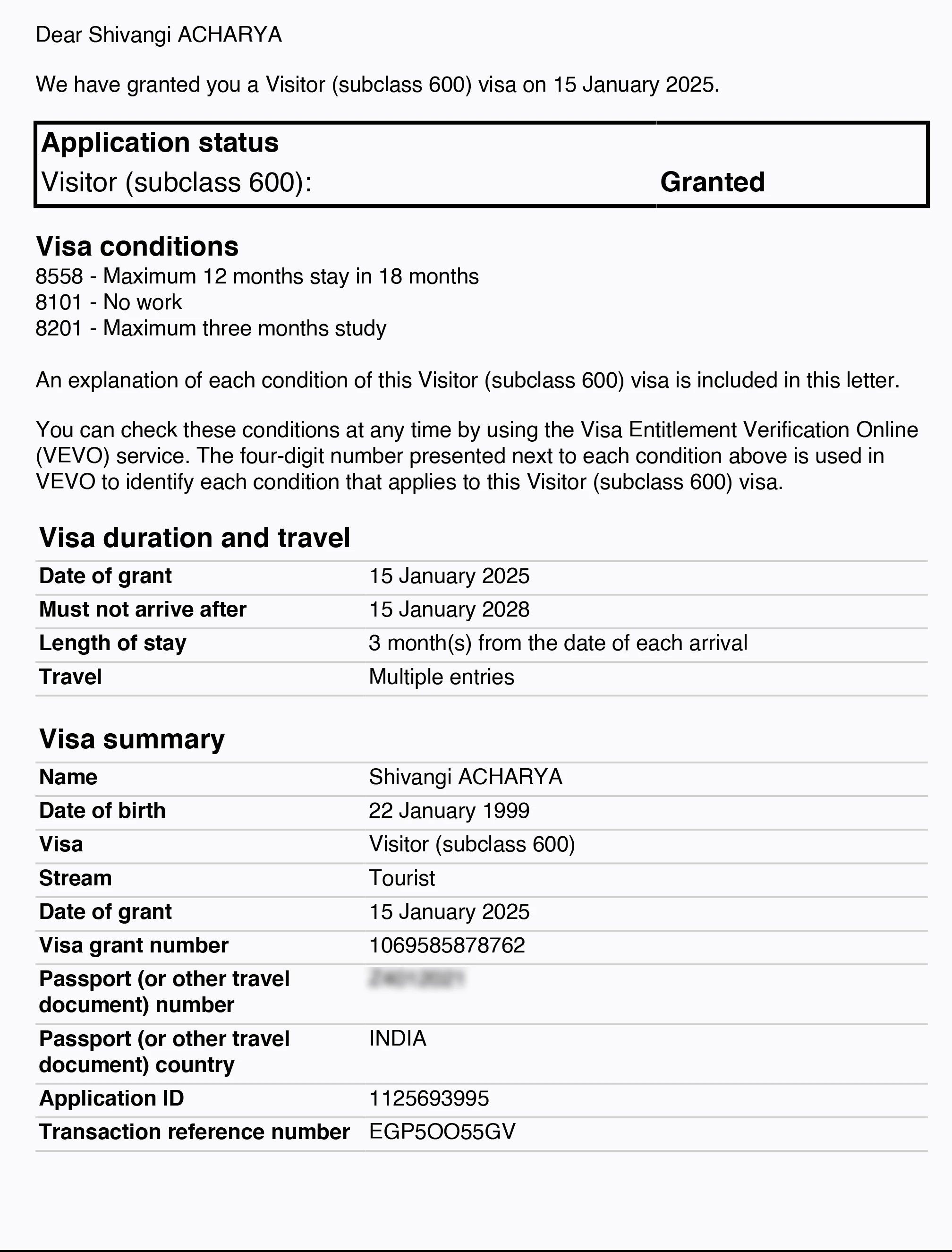 Approved visa copy