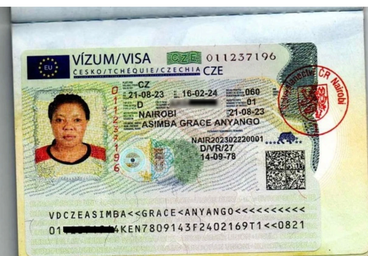 Approved visa copy
