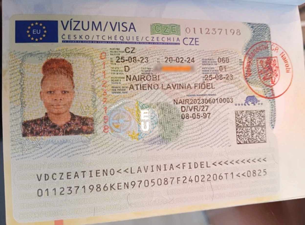 Approved visa copy