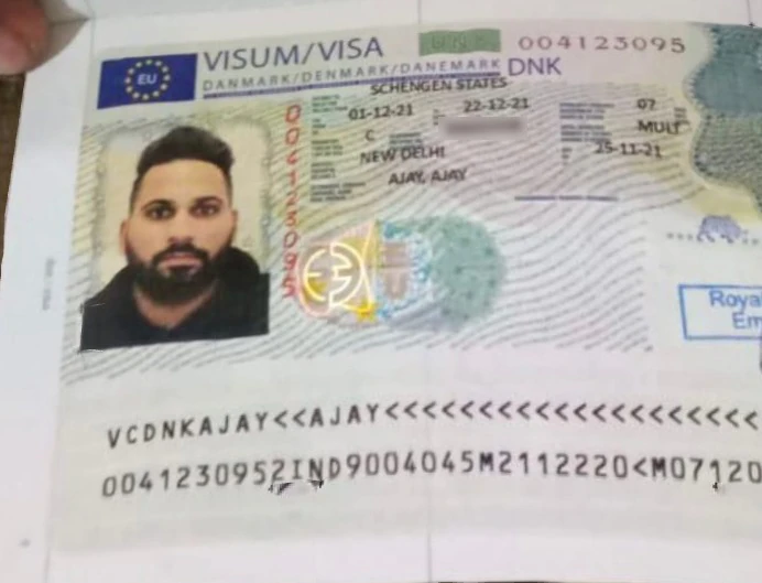 Approved visa copy